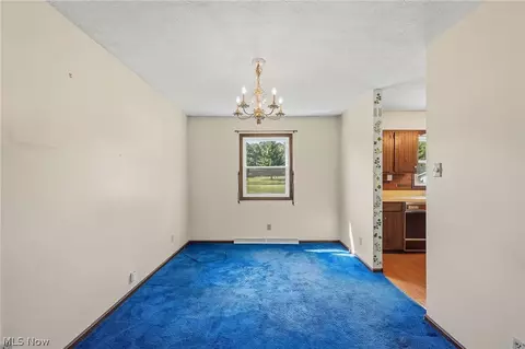 7974 Buffham Rd, Lodi, OH 44254 photo 10