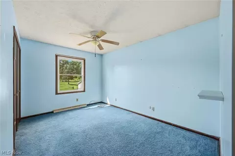 7974 Buffham Rd, Lodi, OH 44254 photo 17