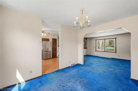 7974 Buffham Rd, Lodi, OH 44254 photo 11