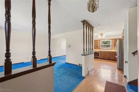 7974 Buffham Rd, Lodi, OH 44254 photo 6