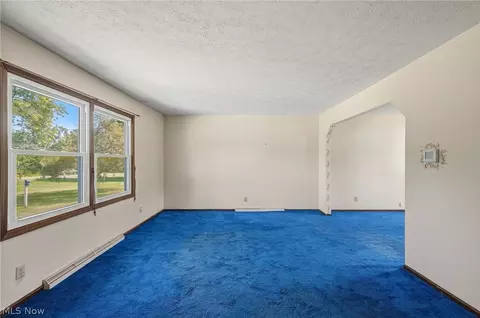 7974 Buffham Rd, Lodi, OH 44254 photo 7
