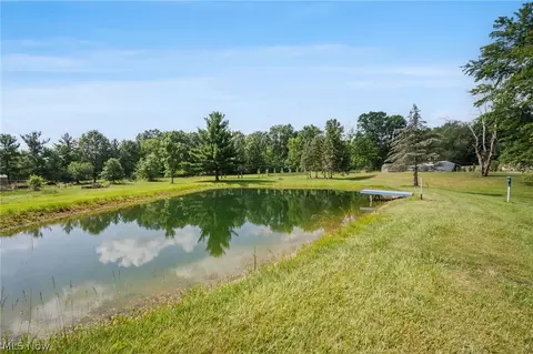7974 Buffham Rd, Lodi, OH 44254 photo 29