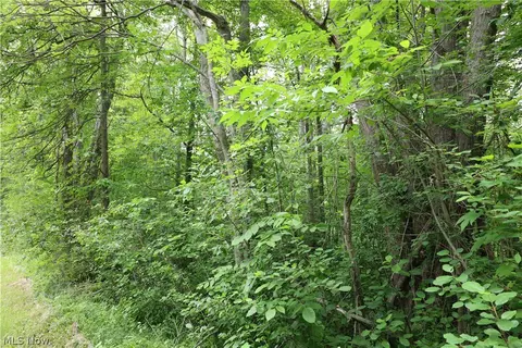 2807 Morningside Ave, Saybrook, OH 44004 photo 7