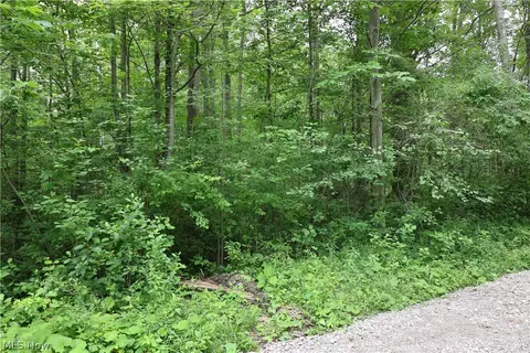 2807 Morningside Ave, Saybrook, OH 44004 photo 3