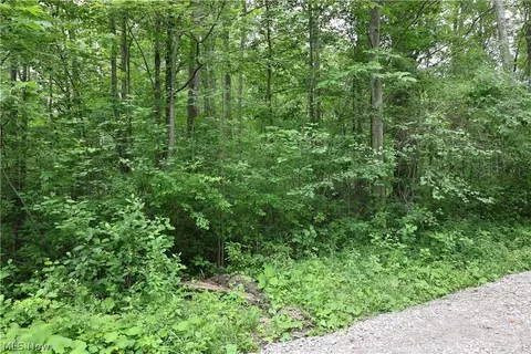 2807 Morningside Ave, Saybrook, OH 44004 photo 3