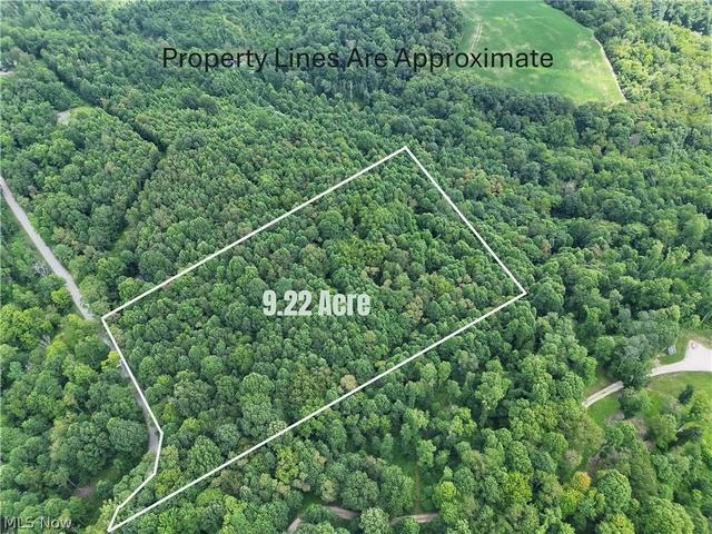 260 Ocelot Rd NE, Salineville, OH 43945