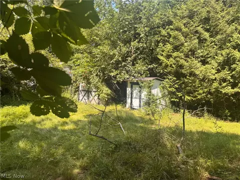 Exterior - 1561 Simcoe Ave, Akron, OH 44305 photo 6 of 7