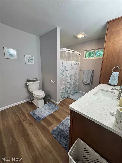 1127 Maple Ave, Madison, OH 44057 photo 30