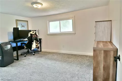 338 Calla Rd E, Poland, OH 44514 photo 39