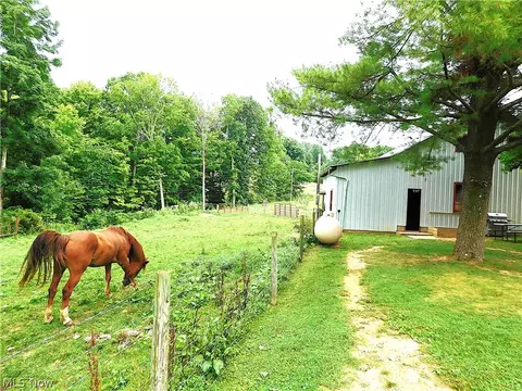 Exterior - 36800 Mann Ridge Rd, Jerusalem, OH 43747 photo 16 of 17