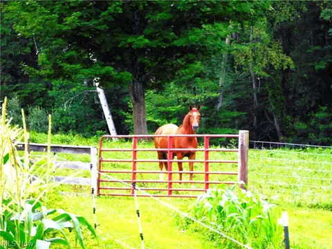 Other - 36800 Mann Ridge Rd, Jerusalem, OH 43747 photo 16 of 16