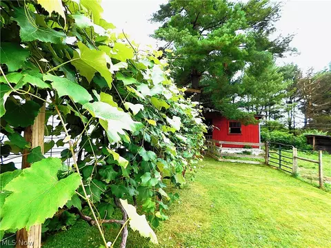 Exterior - 36800 Mann Ridge Rd, Jerusalem, OH 43747 photo 13 of 17