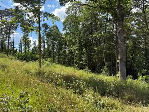 0 Fisher Ridge Rd Tract 1 Rd, Fleming, OH 45729 photo 4