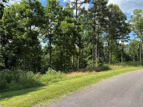 0 Fisher Ridge Rd Tract 1 Rd, Fleming, OH 45729 photo 1