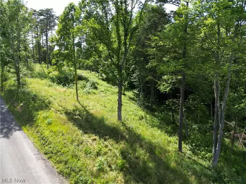 0 Fisher Ridge Rd Tract 1 Rd, Fleming, OH 45729 photo 9