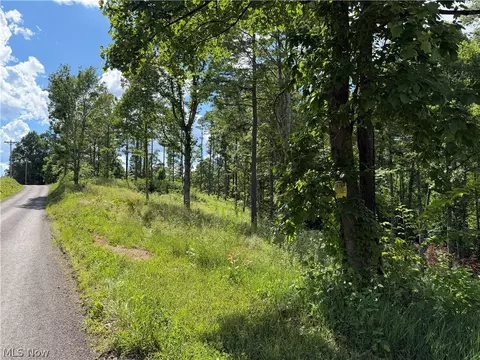 0 Fisher Ridge Rd Tract 1 Rd, Fleming, OH 45729 photo 3