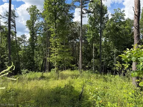 0 Fisher Ridge Rd Tract 1 Rd, Fleming, OH 45729 photo 2
