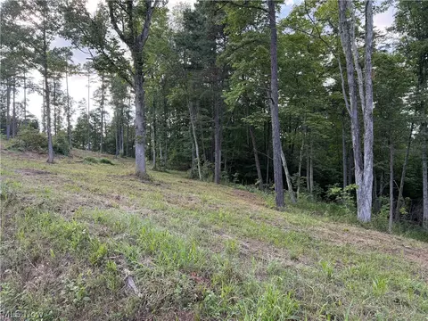0 Fisher Ridge Rd Tract 1 Rd, Fleming, OH 45729 photo 3