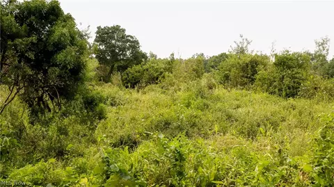 Deersville Avenue, Cadiz, OH 43907