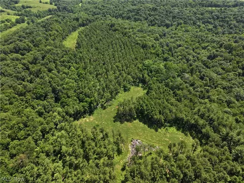 0 E Tract D E Reinersville Rd, Mcconnelsville, OH 45786
