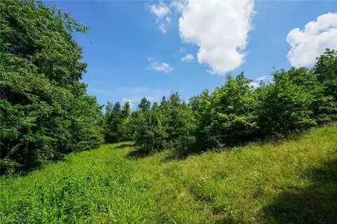 235 Butterbean Ridge Rd, Philo, OH 43771 photo 17