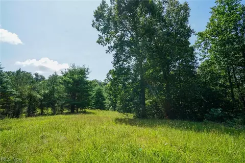 235 Butterbean Ridge Rd, Philo, OH 43771 photo 4