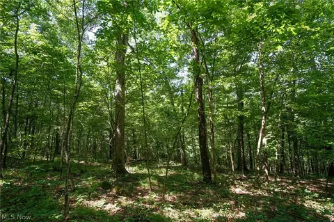 235 Butterbean Ridge Rd, Philo, OH 43771 photo 8