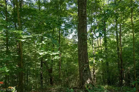 235 Butterbean Ridge Rd, Philo, OH 43771 photo 20