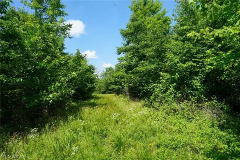 235 Butterbean Ridge Rd, Philo, OH 43771 photo 18