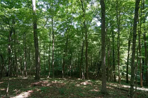235 Butterbean Ridge Rd, Philo, OH 43771 photo 7