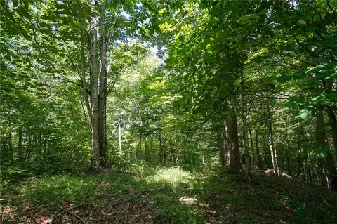 235 Butterbean Ridge Rd, Philo, OH 43771 photo 5