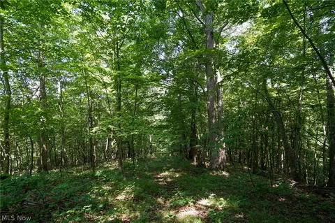235 Butterbean Ridge Rd, Philo, OH 43771 photo 6