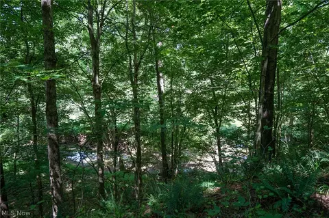 235 Butterbean Ridge Rd, Philo, OH 43771 photo 24