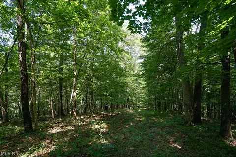 235 Butterbean Ridge Rd, Philo, OH 43771 photo 9