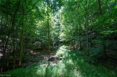 235 Butterbean Ridge Rd, Philo, OH 43771 photo 16