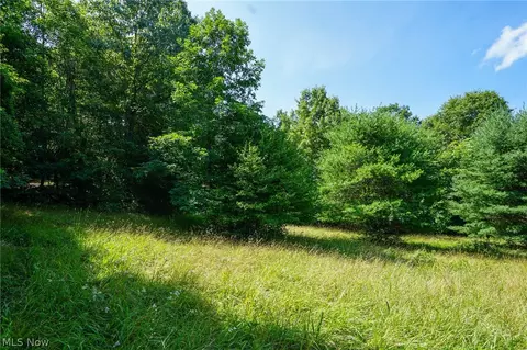 235 Butterbean Ridge Rd, Philo, OH 43771 photo 3