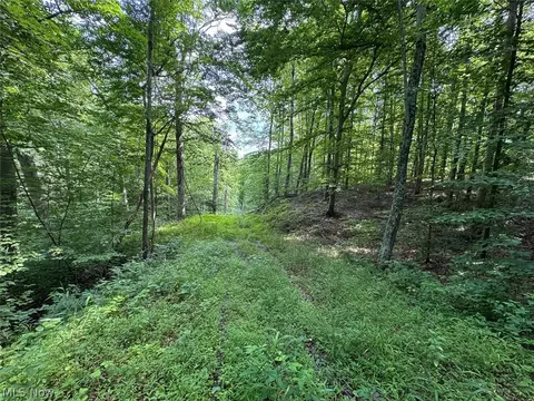 Township Rd 291, Corning, OH 43730