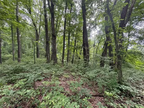 Township Rd 291, Corning, OH 43730 photo 13