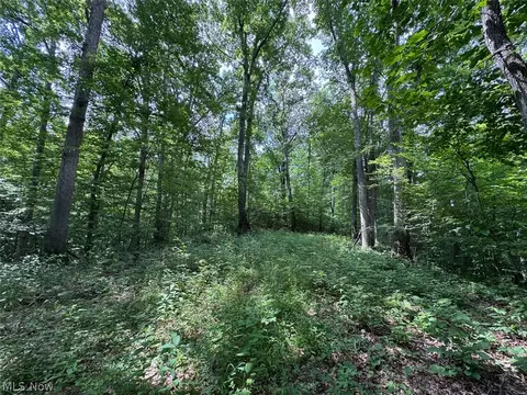 Township Rd 291, Corning, OH 43730 photo 2