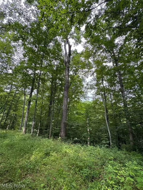 Township Rd 291, Corning, OH 43730 photo 11