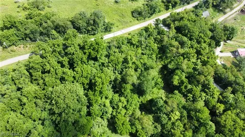 135 Township Road, Dillonvale, OH 43917 photo 8