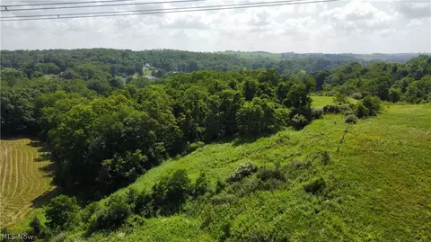 135 Township Road, Dillonvale, OH 43917 photo 14