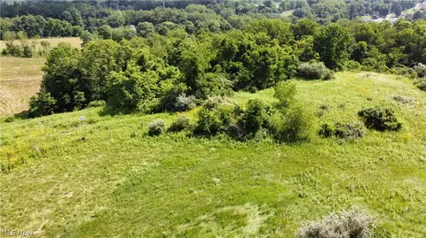 135 Township Road, Dillonvale, OH 43917 photo 15