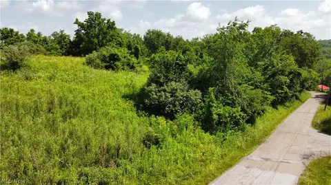 135 Township Road, Dillonvale, OH 43917 photo 20