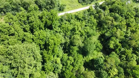 135 Township Road, Dillonvale, OH 43917 photo 9