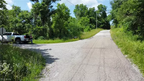 135 Township Road, Dillonvale, OH 43917 photo 22