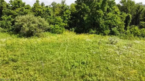 135 Township Road, Dillonvale, OH 43917 photo 17