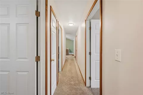 216 Pleasant St, Lagrange, OH 44050 photo 15