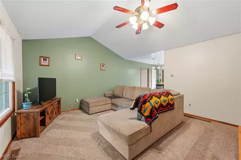 216 Pleasant St, Lagrange, OH 44050 photo 4