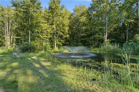 Other - 1318 Daly Rd, Ashtabula, OH 44004 photo 16 of 16